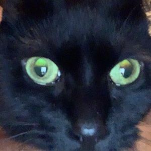 Meet your Posher, Dayna